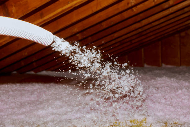 Types of Insulation We Offer in Orion, IL