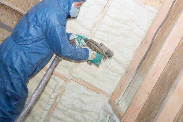 Best Blown-In Insulation  in Orion, IL