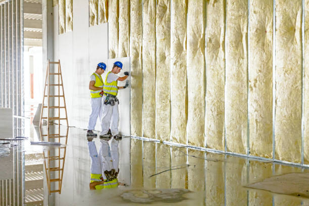 Best Reflective Insulation  in Orion, IL